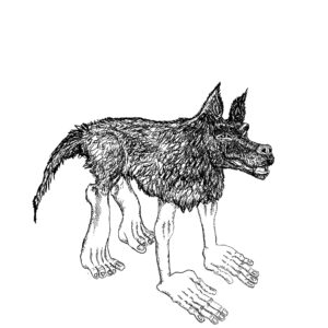 Hund-mit-Händen-Hintergrund-weiss